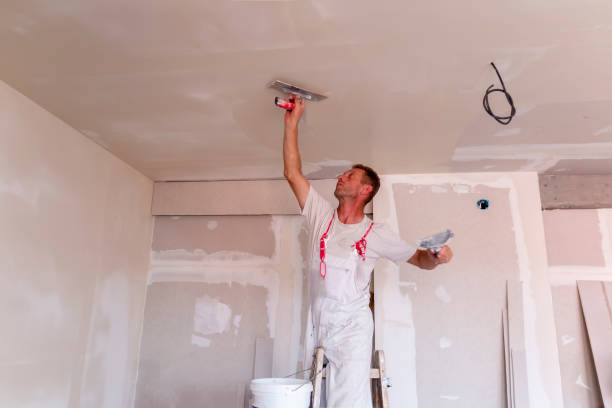 Best Drywall Patching  in Watertown, TN